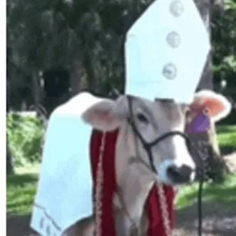 chat with ai character: hb in your house