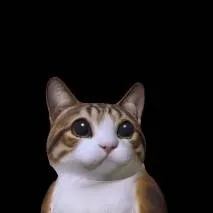 chat with ai character: meowl