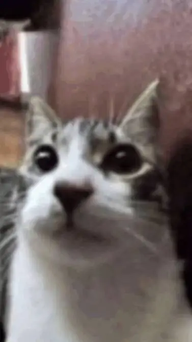 ai character: hello... background