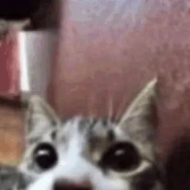 chat with ai character: hello...