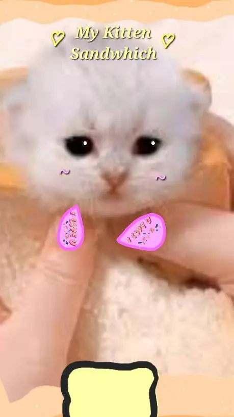 ai character: Kitty Samwich background