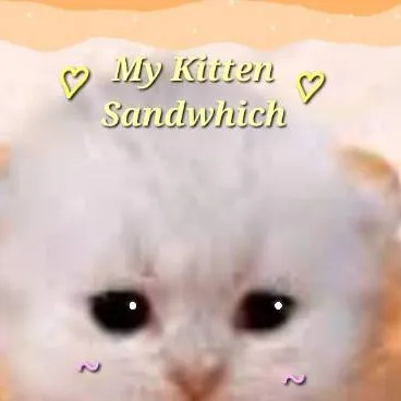 chat with ai character: Kitty Samwich