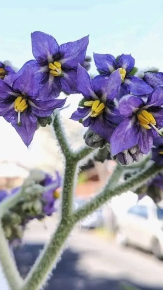 ai character: Me!  background