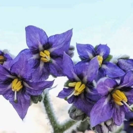 chat with ai character: Me! 