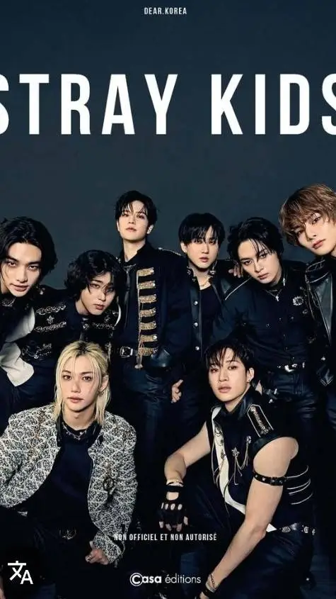 ai character: straykids background