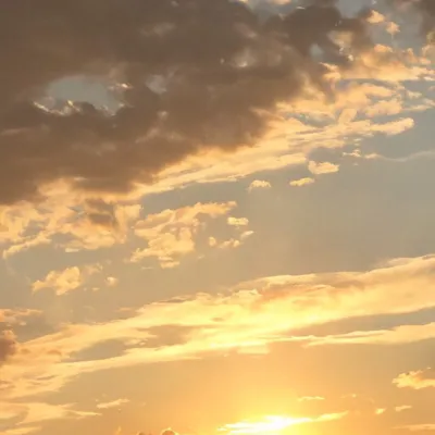 chat with ai character: STRANGER THINGS 