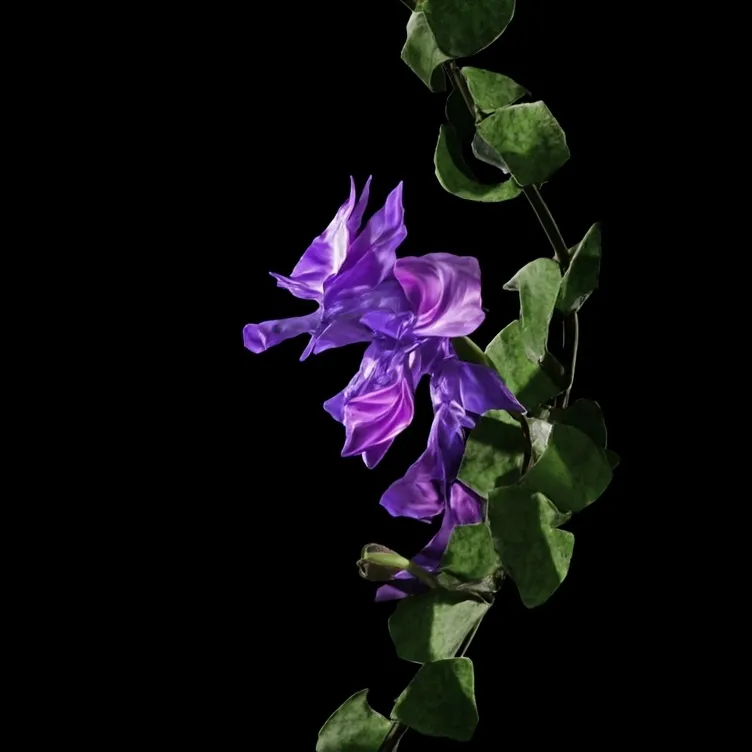 chat with ai character: Urchin plant