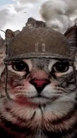 ai character: cat from war background