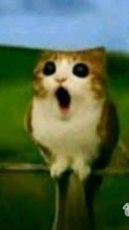 ai character: Meowl background