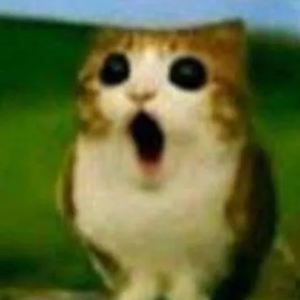 chat with ai character: Meowl
