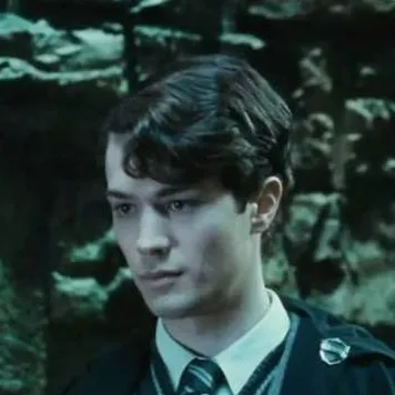 chat with ai character: tom Riddle 