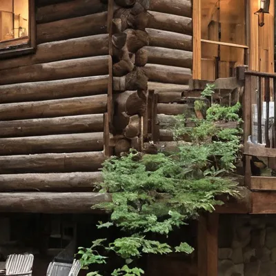 chat with ai character: Camp greenwood
