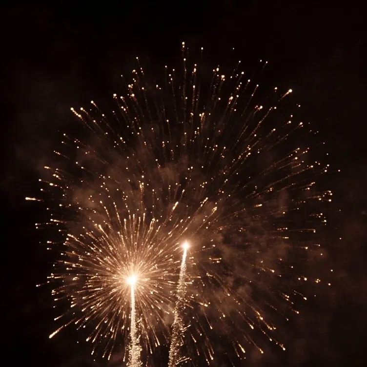 chat with ai character: Fireworks.