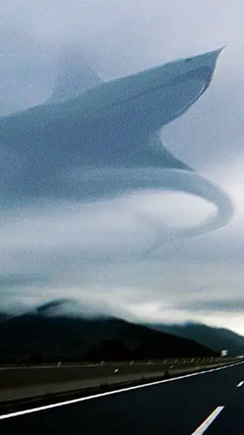 Talkie AI - Chat with aircraftshark