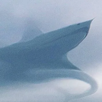 chat with ai character: aircraftshark