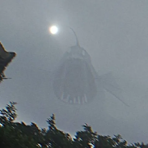 chat with ai character: thats no moon