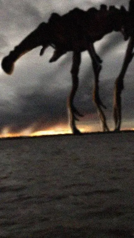 Talkie AI - Chat with Day 18