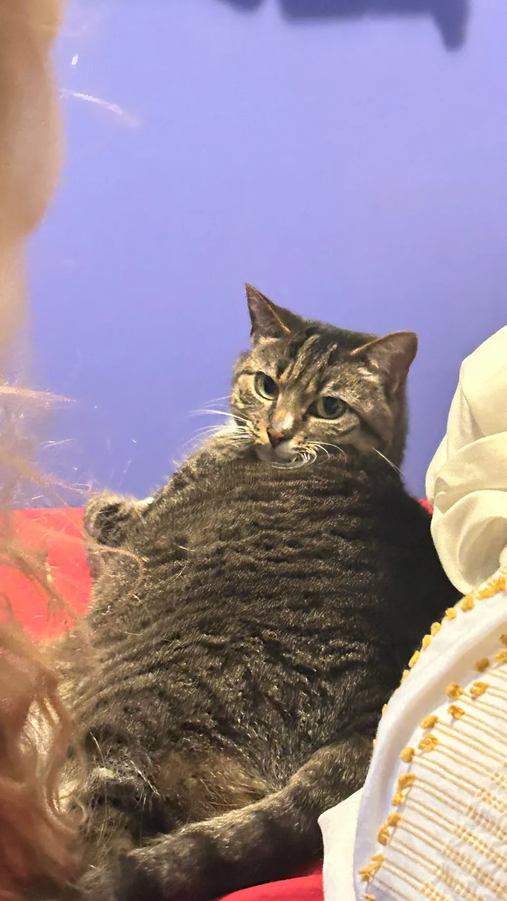 ai character: Gilly background