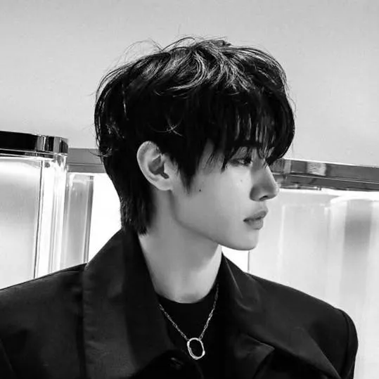 chat with ai character: Sunghoon(mafia)