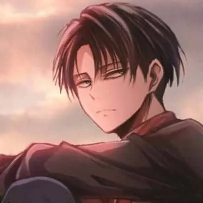 chat with ai character: levi
