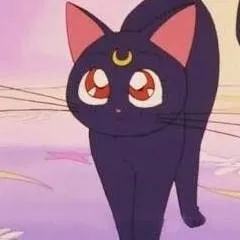chat with ai character: luna gata 
