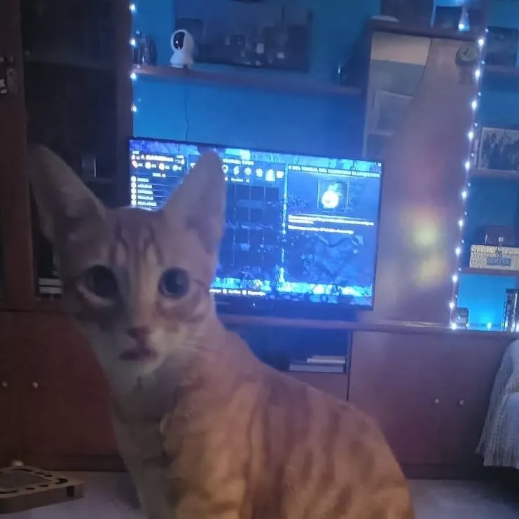 chat with ai character: maximiliano 