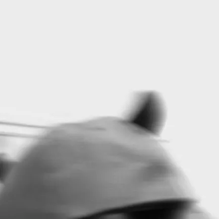 chat with ai character: laura