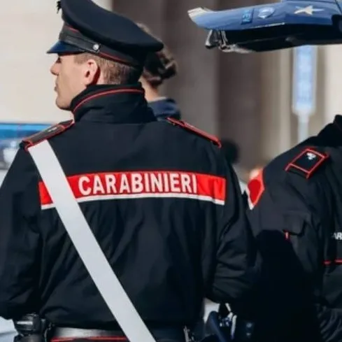 chat with ai character: colleghi carabinie