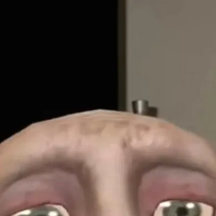 chat with ai character: dobby