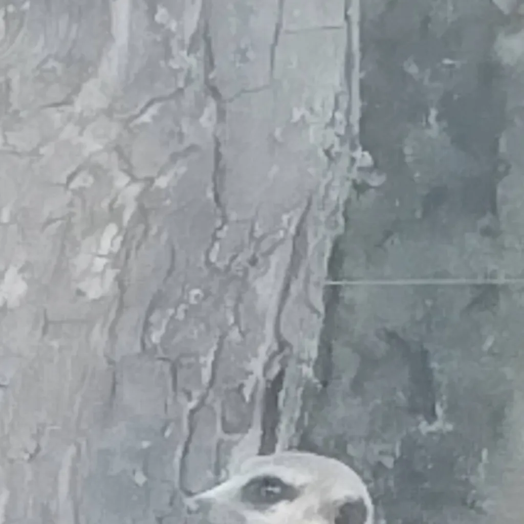 chat with ai character: Lilly