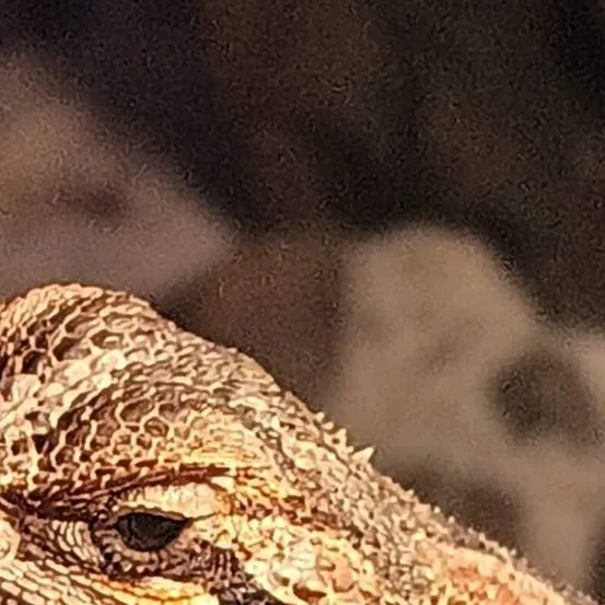 chat with ai character: Friend