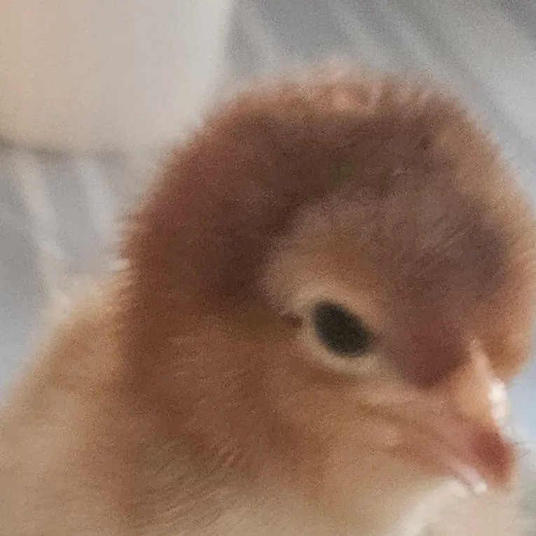 chat with ai character: Michael vs Wyatt