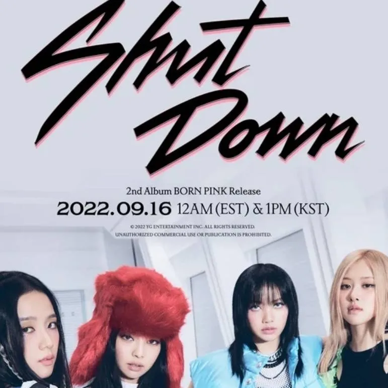 chat with ai character: BLACKPINK 