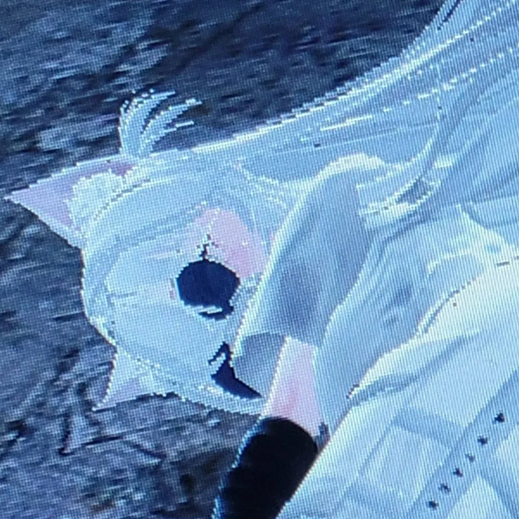 chat with ai character: dead girl