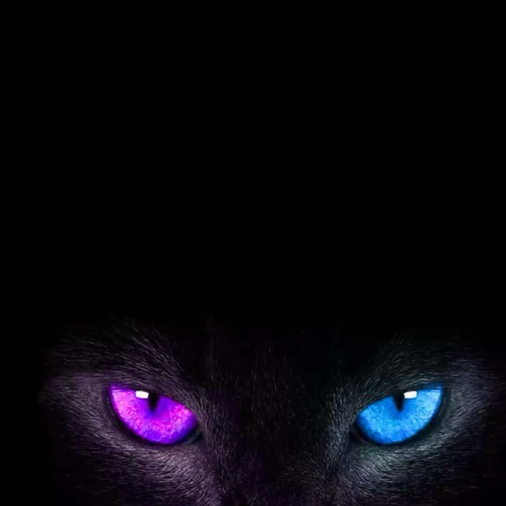 chat with ai character: HH school horror