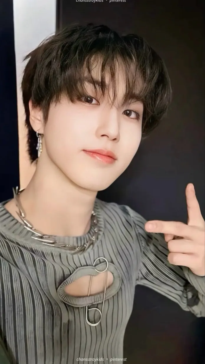 ai character: Han jisung background