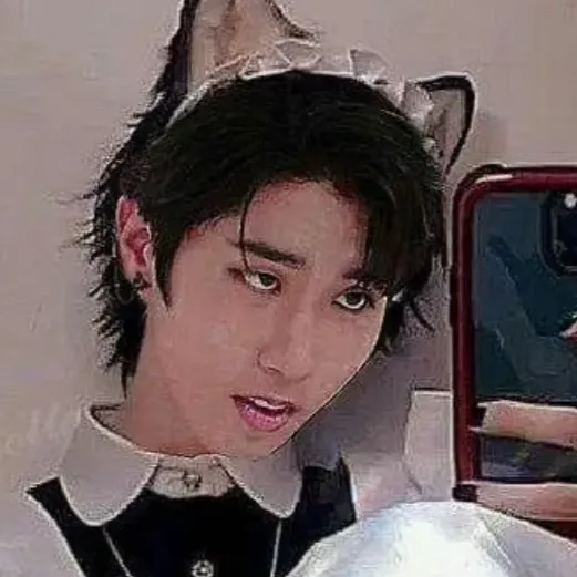 chat with ai character: SKZ