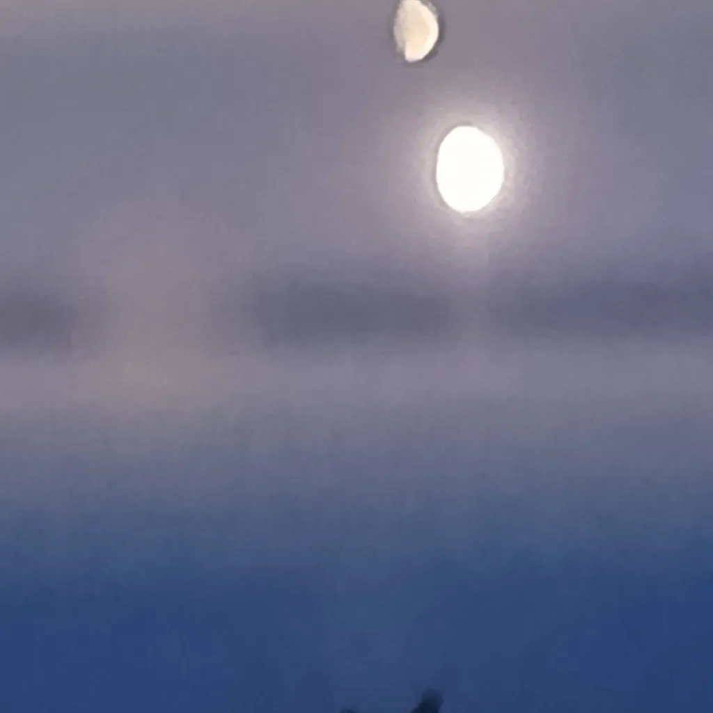 chat with ai character: dw haters