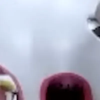 chat with ai character: Magel