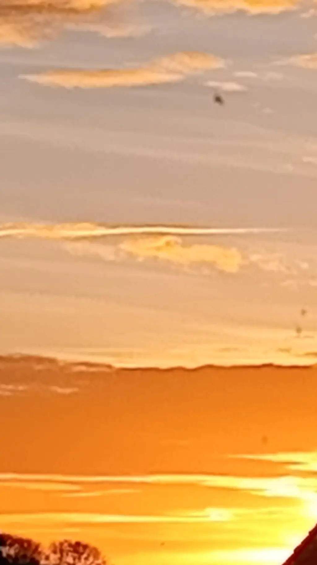 ai character: royal💙🐼Princesses background