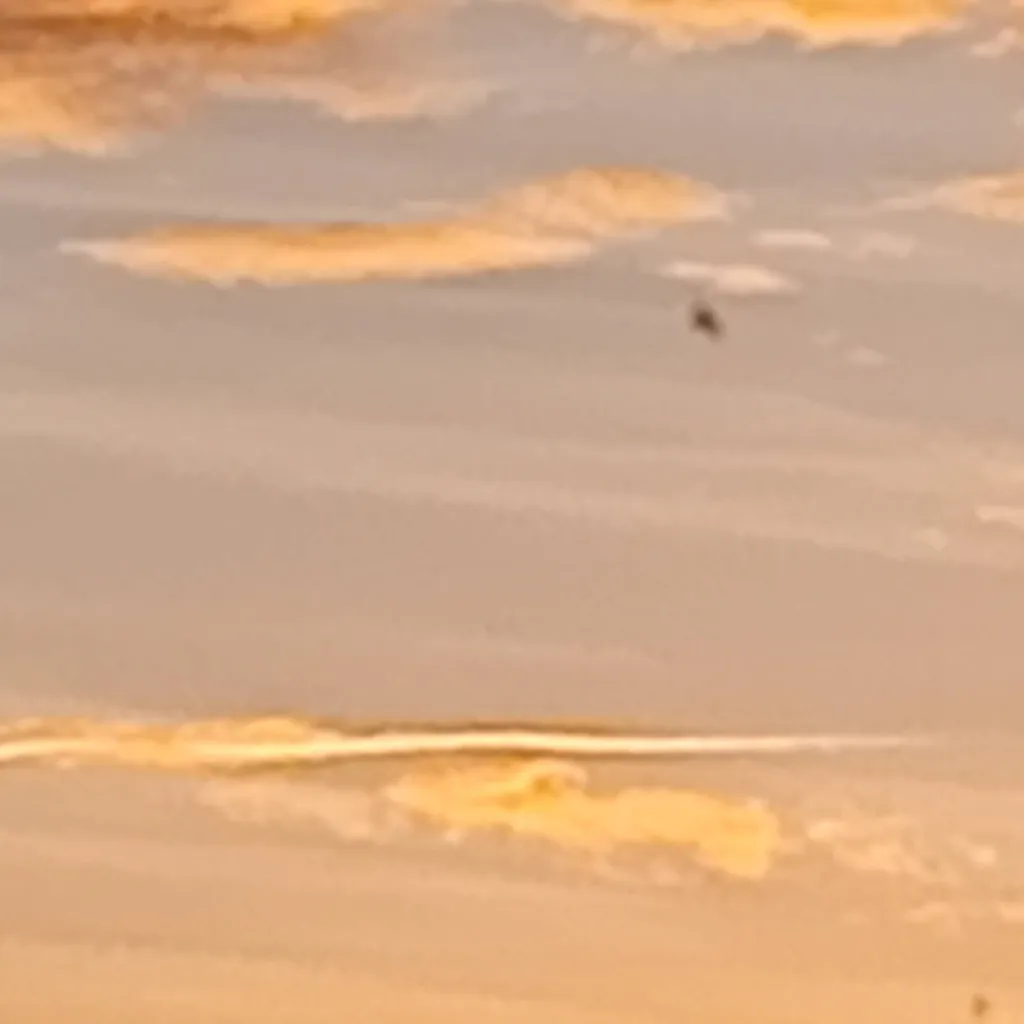 chat with ai character: royal💙🐼Princesses