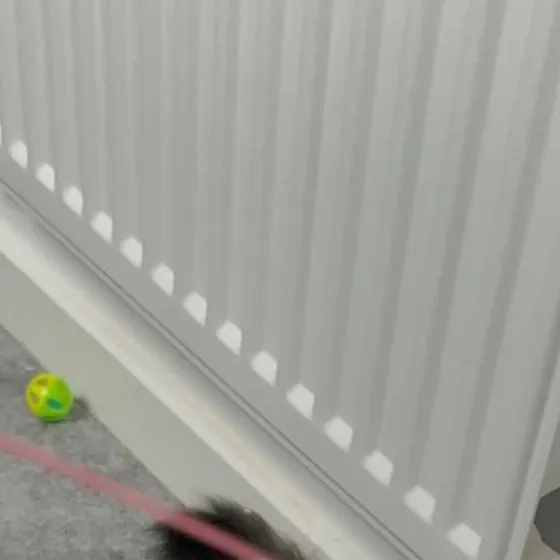 chat with ai character: cat