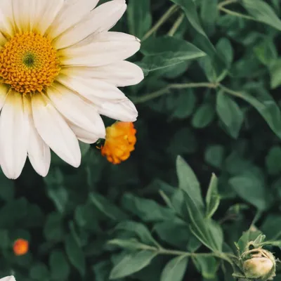 chat with ai character: Dylan 🥞