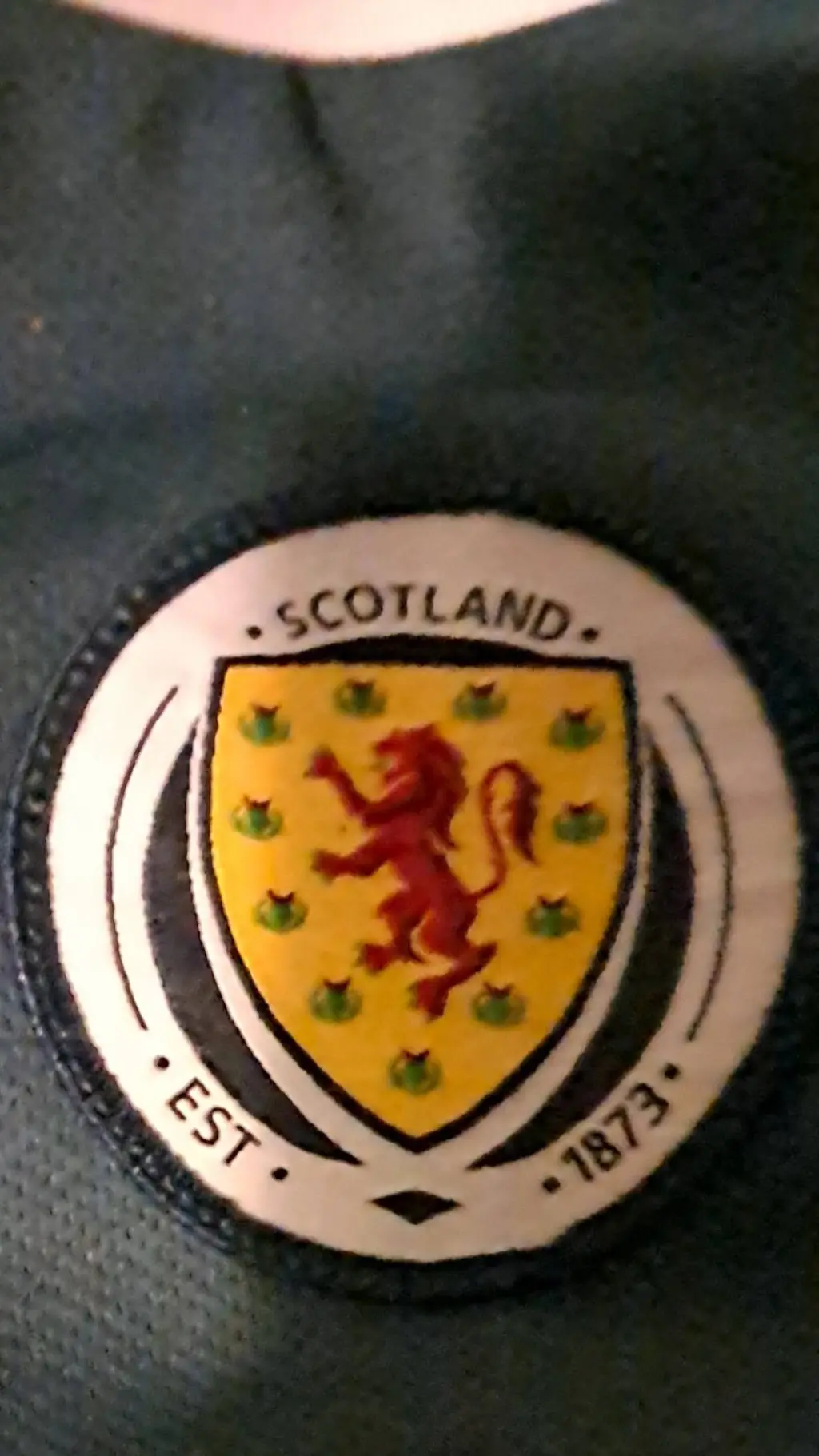 ai character: Scotalnd world cup background