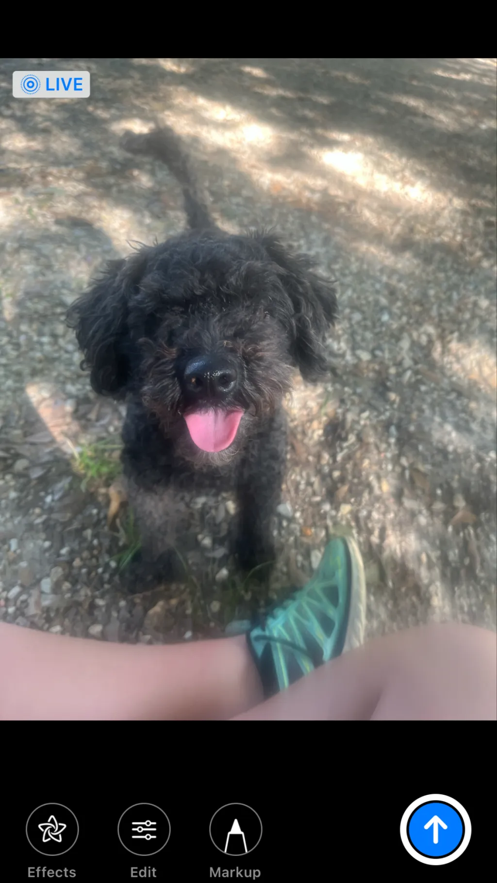 ai character: Mary  background