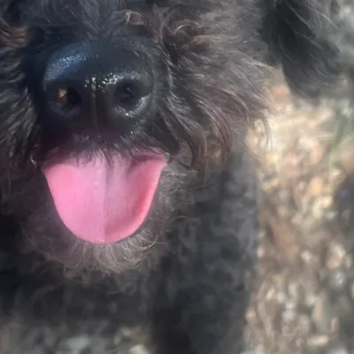 chat with ai character: Mary 