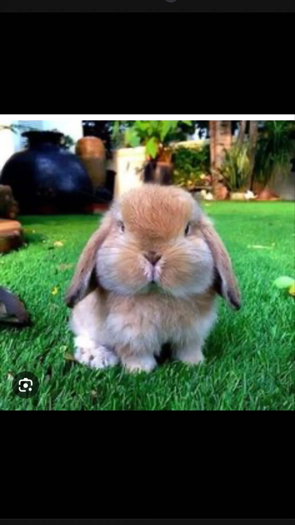 ai character: Emary background