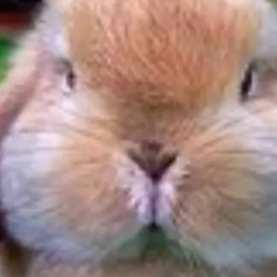 chat with ai character: Emary