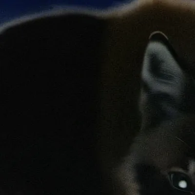 chat with ai character: Rosalyn 