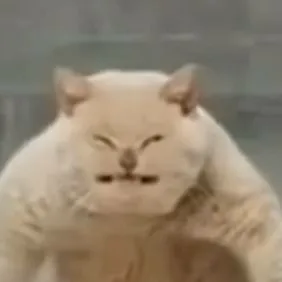 chat with ai character: goofy ahh cat